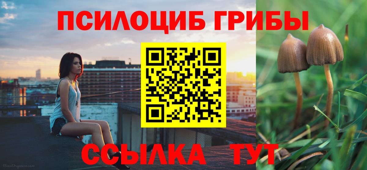 Псилоцибиновые грибы MAGIC MUSHROOMS Рязань